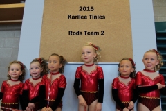 2015-04 Karilee Tinies Rods T2x-8x6